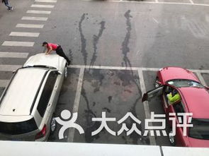 北京中華民族園南門停車場(chǎng) 北京中華民族園南門停車場(chǎng)愛(ài)車